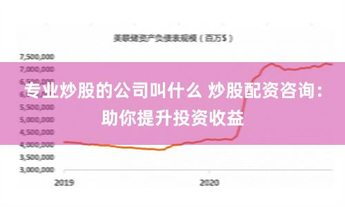 专业炒股的公司叫什么 炒股配资咨询：助你提升投资收益