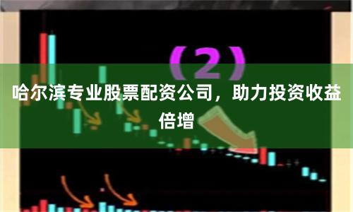 哈尔滨专业股票配资公司，助力投资收益倍增