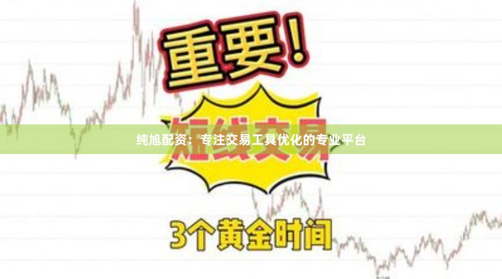 纯旭配资：专注交易工具优化的专业平台