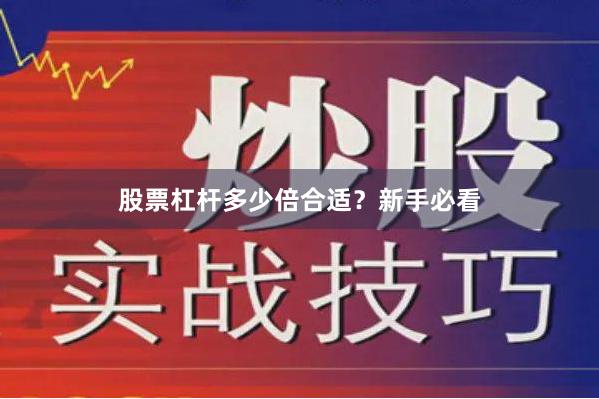 股票杠杆多少倍合适？新手必看