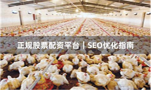 正规股票配资平台｜SEO优化指南