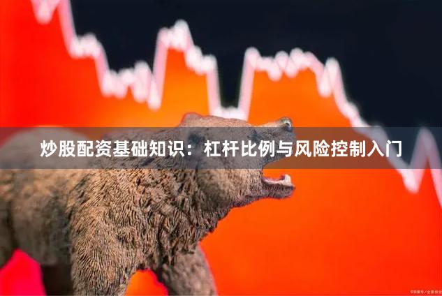 炒股配资基础知识：杠杆比例与风险控制入门